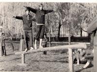 1972r.-zielona sala gimnastyczna w SP1 Lubsko (d.Zb.Szk.Gm.)